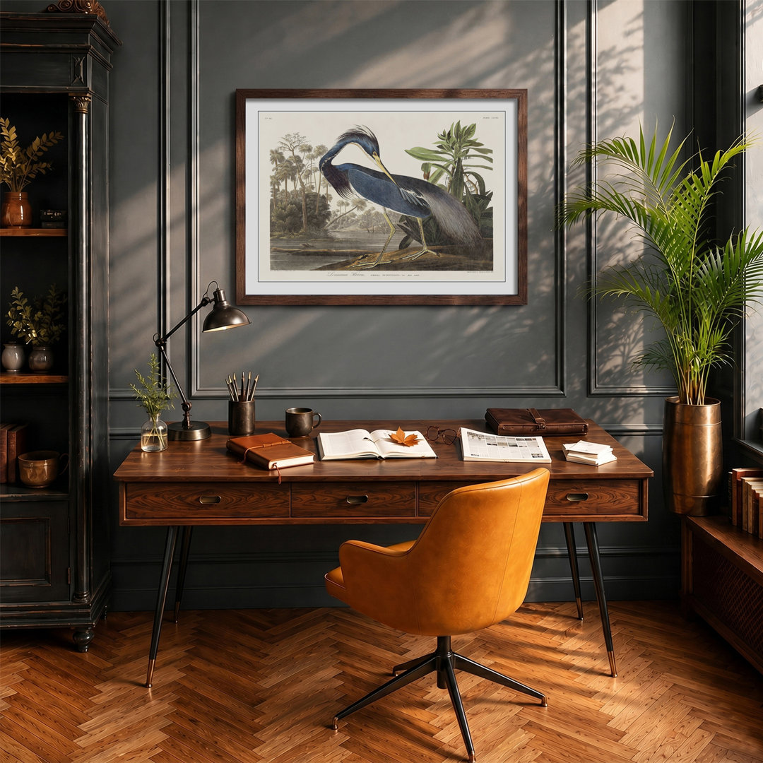 Louisiana Heron by John James Audubon - Framed Print