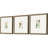 " Antique Botanical I S/3 " by Vision Studio 3 - Pieces Painting Print