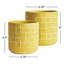 Olcott Handmade Pot Planter - Set of 2