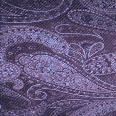 Paisley Indoor Rug