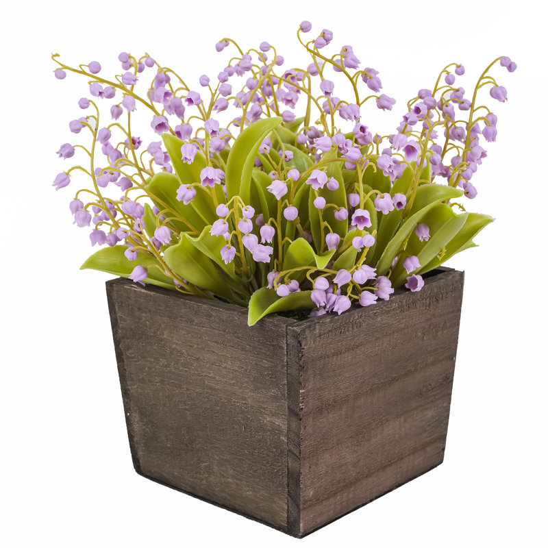Muguet dans une boîte en bois, Mauve