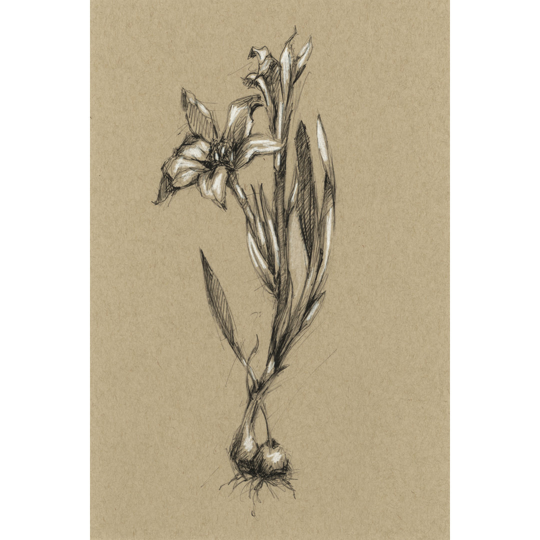 Leinwandbild Botanical Sketch B&W I von Ethan Harper