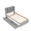 Cadre de lit simple moderne avec port USB intégré sur la tête de lit à bibliothèque et 2 tiroirs-302078606