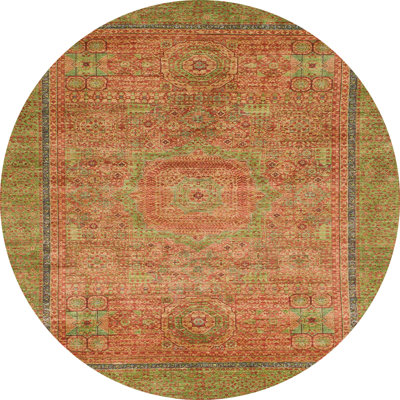 Oriental Indoor Rug