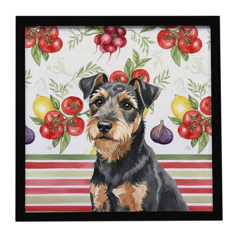 «Lakeland Terrier» noir et brun clair, reproduction de métal encadrée
