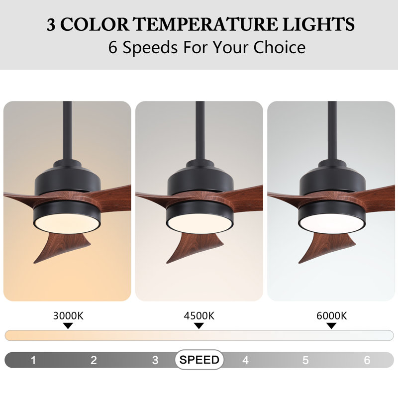 42-Inch Indoor Ceiling Fan with Light & Remote