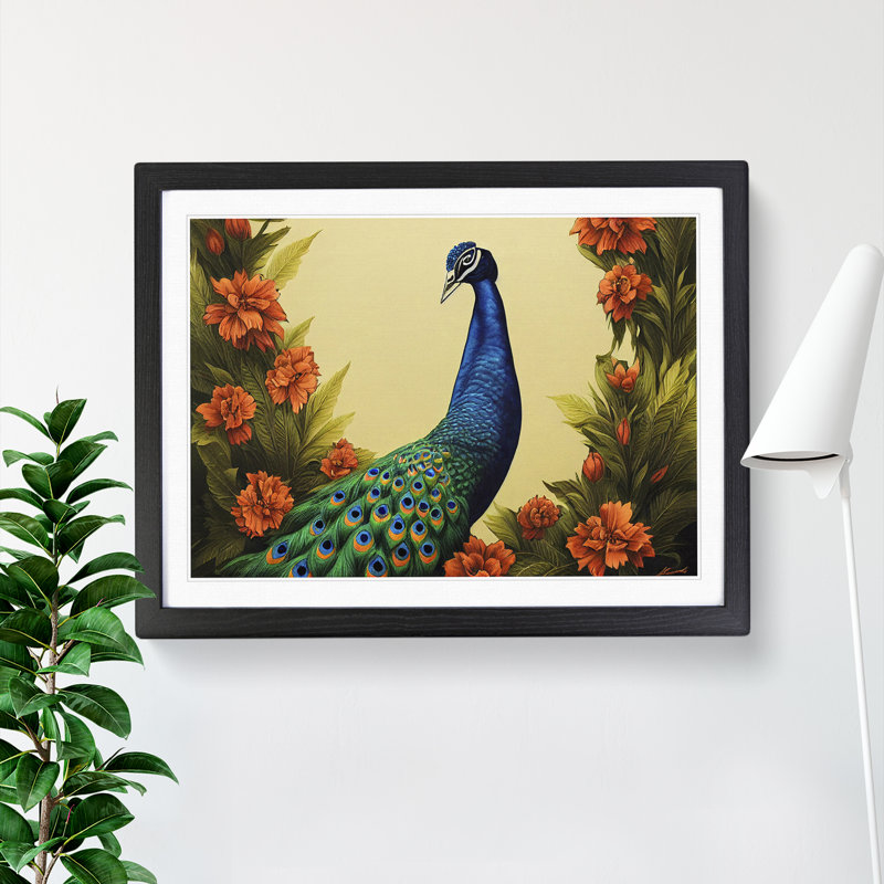 Pleasing Peacock - Single Picture Frame Print, Black Framed, 25cm H x 34cm W x 2cm D