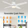 Poppe 52'' Ceiling Fan with LED Lights