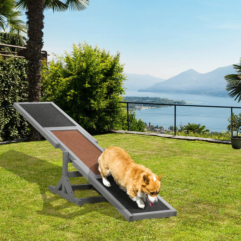 Pet Agility Device - Build Pet's Confidence, , Grey Dog Enhance Performance, 11.73" Width