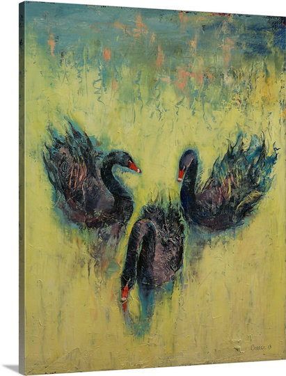«Kidham Black Swans» par Michael Creese, impression sur toile, H 30 po x l 24 po x P 1,25 po