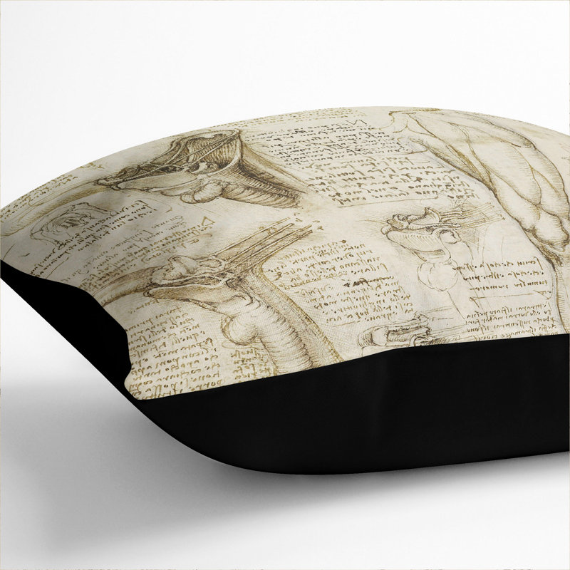 Human Anatomy Vol.7 Square Throw Cushion, 55cm H x 55cm W x 20cm D, Black