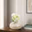 Decorative Pottery Flower Vase Accent For Home Decor - Contemporary Tall Table Vase for Living Room and Dining Room Decor - Cream-1051202459