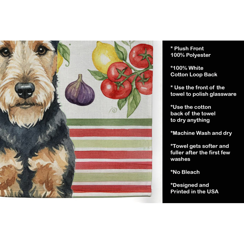 Torchon Welsh Terrier, Terrier gallois