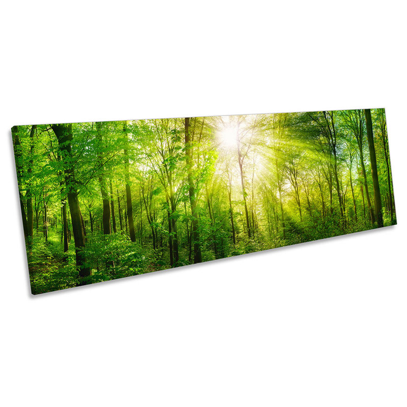 Sunlight Green Forest Trees - Wrapped Canvas Panoramic Art Prints, 40.64cm H x 121.92cm W