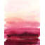 Raspberries View Print by Sofia Fox-25801310-25801319