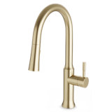 Trova Pull Down Single Handle Kitchen Faucet with Accessories