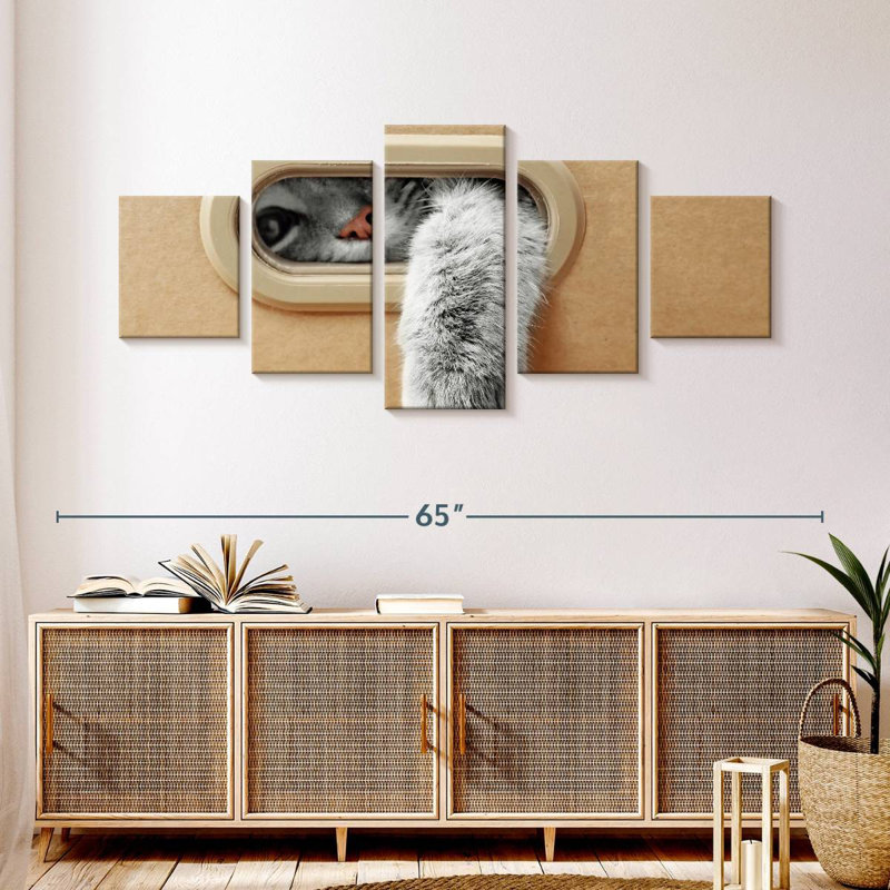 Cat Wants Out