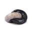 Petrified Wood Knot-Dark Petrified Wood