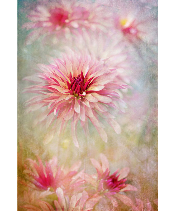 Wrapped Canvas Print, 81.28cm H x 121.92cm W