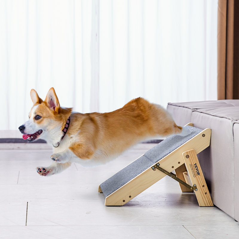 Collapsible Stairs With 2 Steps
