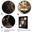 Majestic lion royal avec couronne d'or I - impressions sur toile de lion-1054331009-1054331002