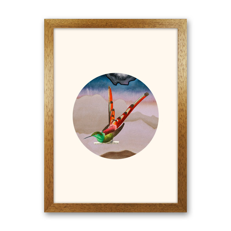 Bird Collage I - Print, Brown Framed, 46cm H x 34cm W x 3cm D