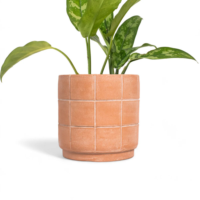 Grid Terracotta Planter Small, 8" H X 8" W X 8" D