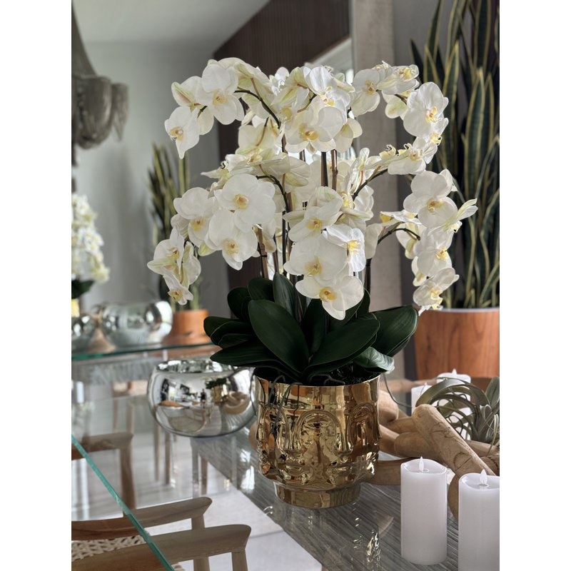 Orchid Floral Arrangement in Vase