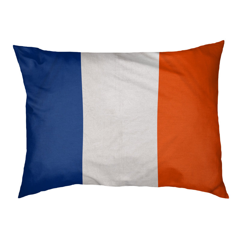 Coussin pour chien hockey Las Vegas, Grand (l 50 po x P 40 po x H 17 po), Bleu royal / blanc / orange