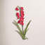 Tige d'orchidée Cymbidium