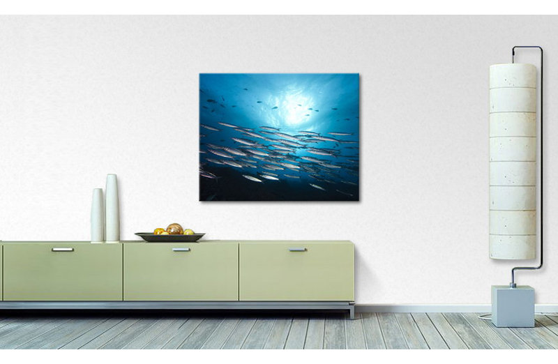 Stretched On Wooden Frame Fotodrucke on Leinwand, 80cm H x 100cm W x 2cm D