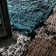 Worrell Chequered Flatweave Area Rug