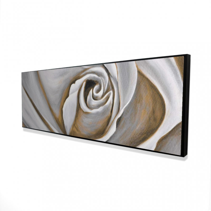 " White Rose Closeup " on
