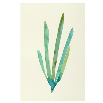 Plants VI Print by Hable Construction