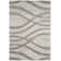 Shelva Performance Abstract Rug