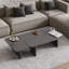 Toro 2 Pieces of Coffee Table-1321656948