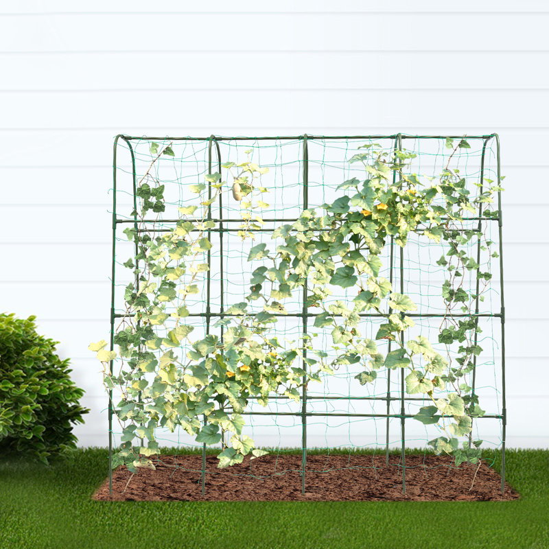 Treillis de jardin pour les plantes grimpantes