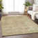Machine Washable Indoor/Outdoor Cinead ACN1664 Salmon Rug