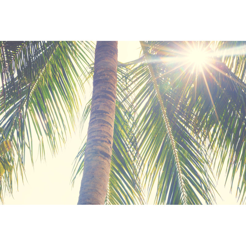 Palm leaves against sunset, 20cm H x 30cm W