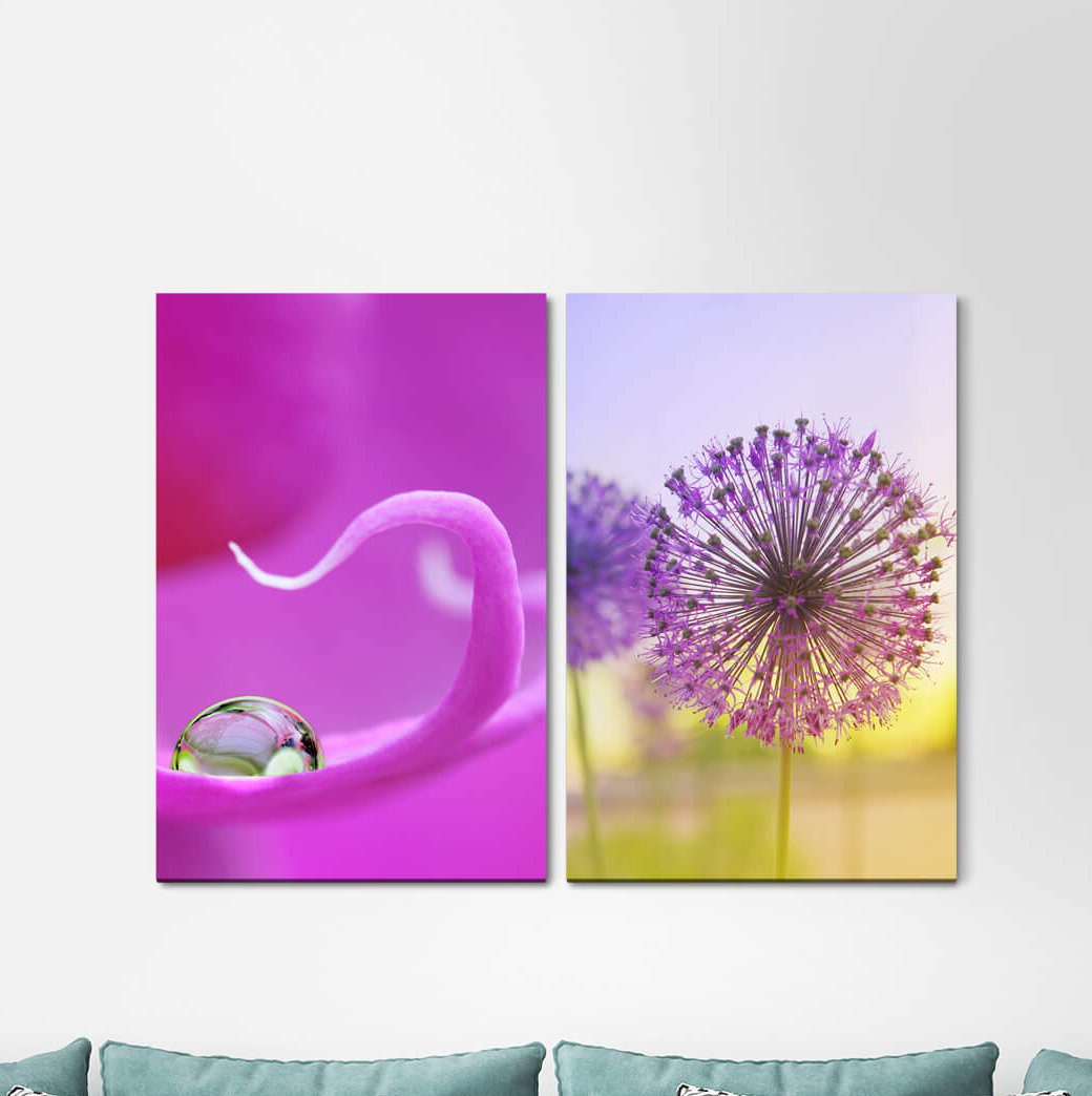 2-tlg. Leinwandbilder-Set - Grafikdruck „Orchid Water Pearl Water Drops Summer Dandelion Sun Sunshine”