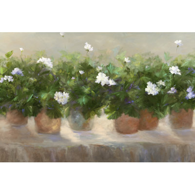 White Geraniums by Sheila Finch - Painting