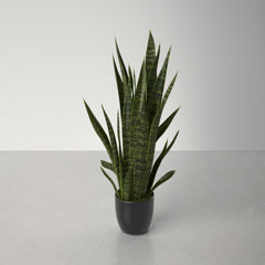 Mkono Artificial Snake Plant 16 Inch Small Fake Sansevieria Tree Potted  Plants Faux Desk Plant Indoor Plant Decor in Terracotta Plastic Pot for  Table