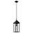 22" 1-Light Outdoor Pendant with Clear Glass-115680822