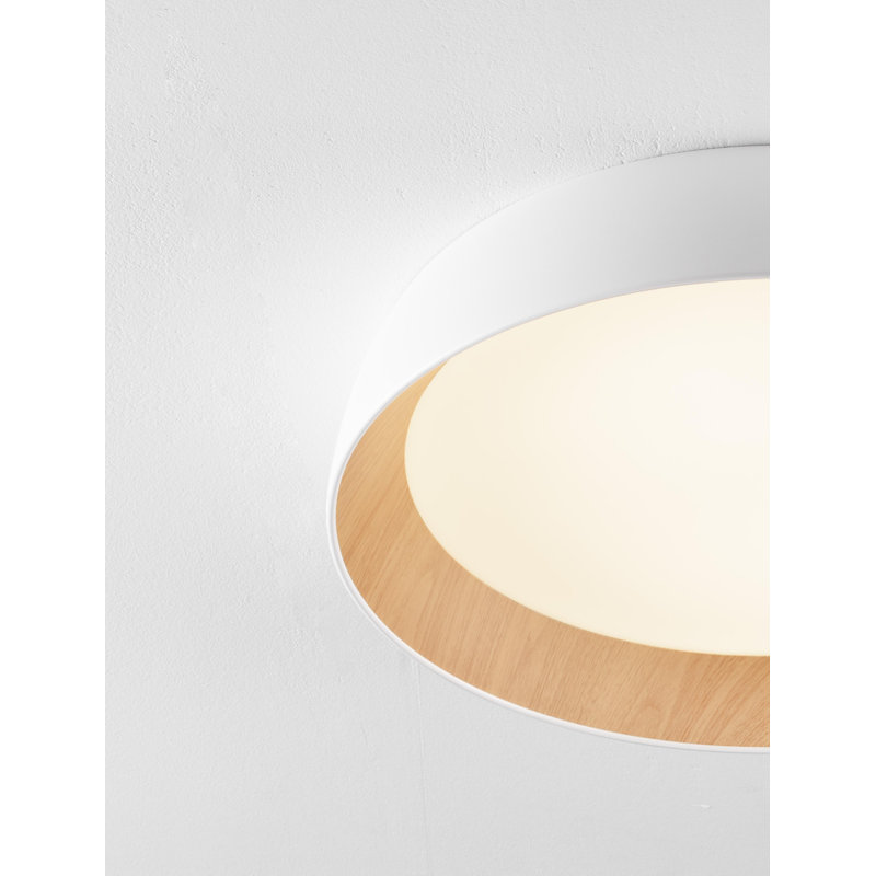 Flush Mount