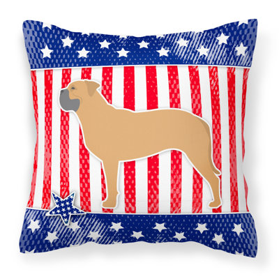 Coussin décoratif intérieur/extérieur patriotique