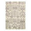 Oriental Area Rug in Gray