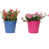 Bleu / rose vif