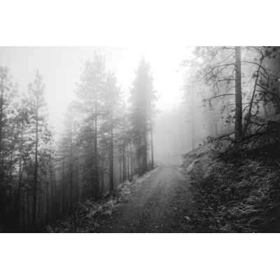 Ponderosa Pine Forest 1 Piece Wrapped Canvas Wall Art