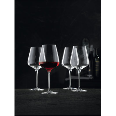 ViNova Redwine Magnum Set/4