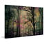 " Night Sight " by Parvez Taj-9118099